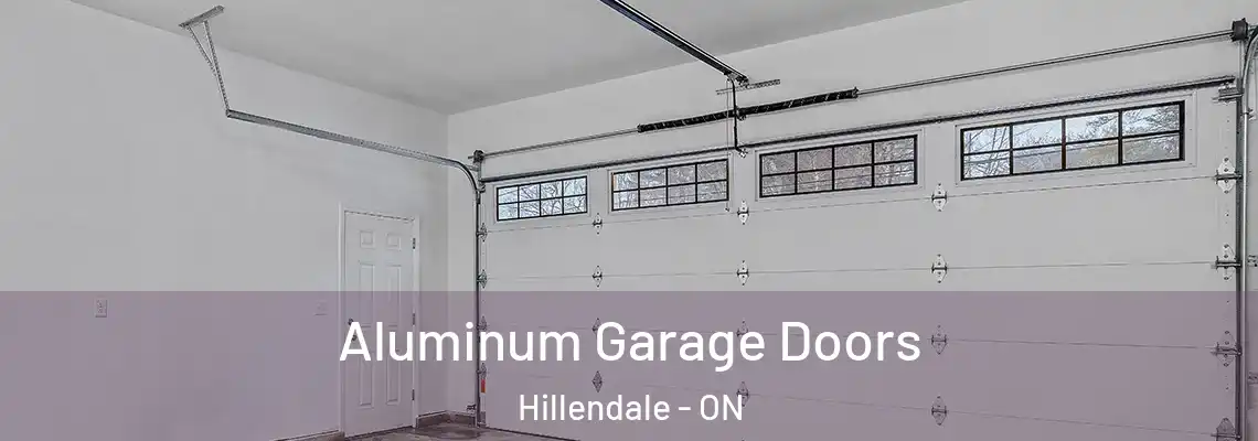 Aluminum Garage Doors Hillendale - ON
