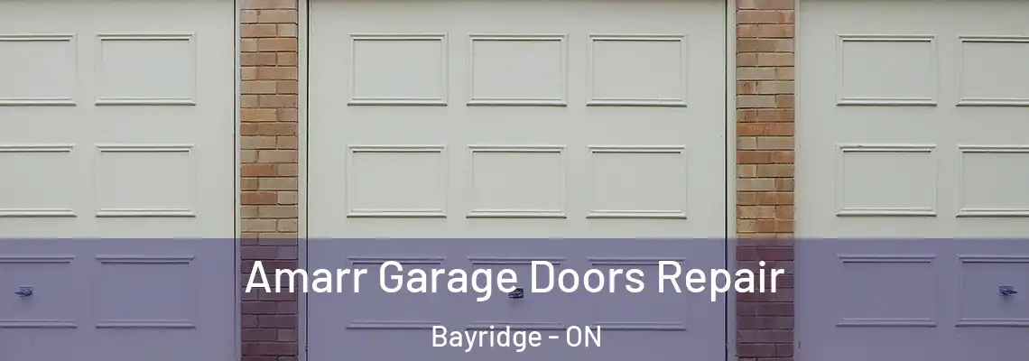 Amarr Garage Doors Repair Bayridge - ON