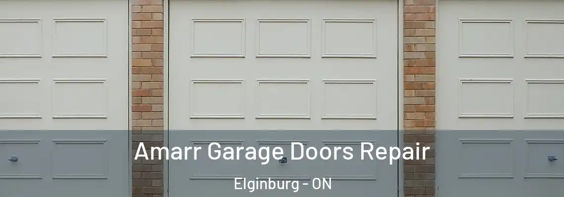 Amarr Garage Doors Repair Elginburg - ON