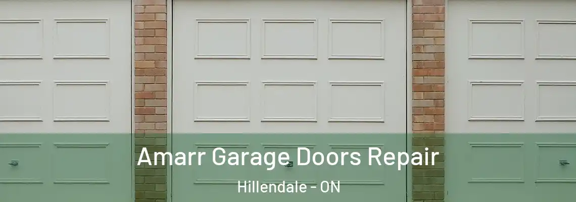 Amarr Garage Doors Repair Hillendale - ON