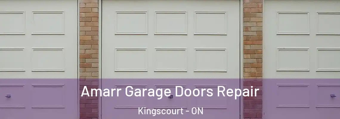 Amarr Garage Doors Repair Kingscourt - ON