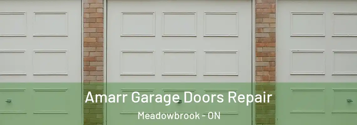 Amarr Garage Doors Repair Meadowbrook - ON