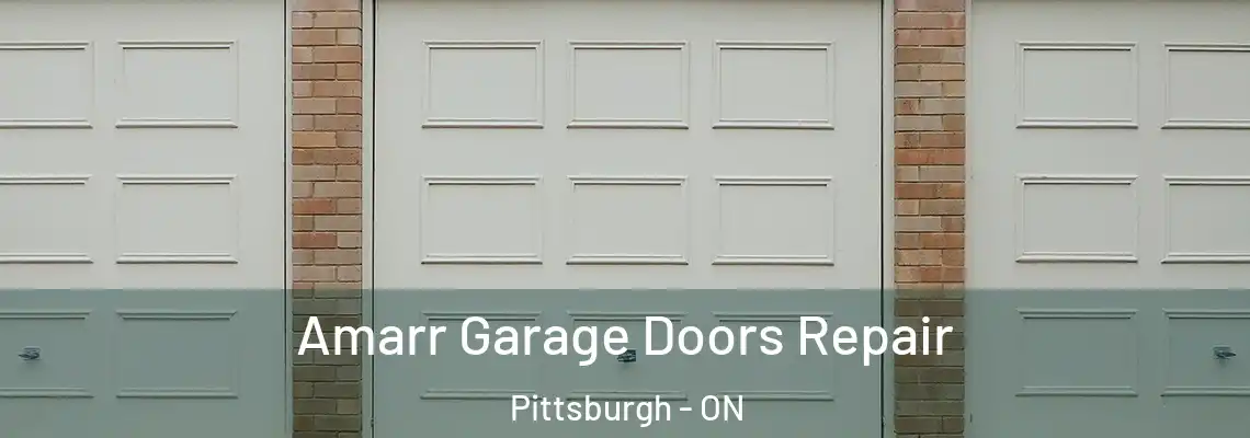 Amarr Garage Doors Repair Pittsburgh - ON