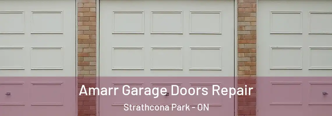Amarr Garage Doors Repair Strathcona Park - ON