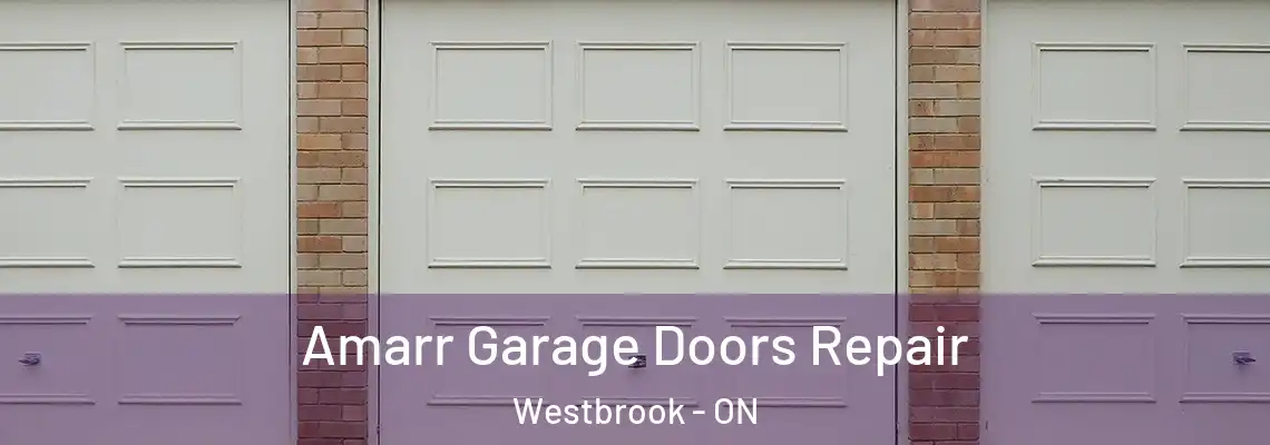 Amarr Garage Doors Repair Westbrook - ON