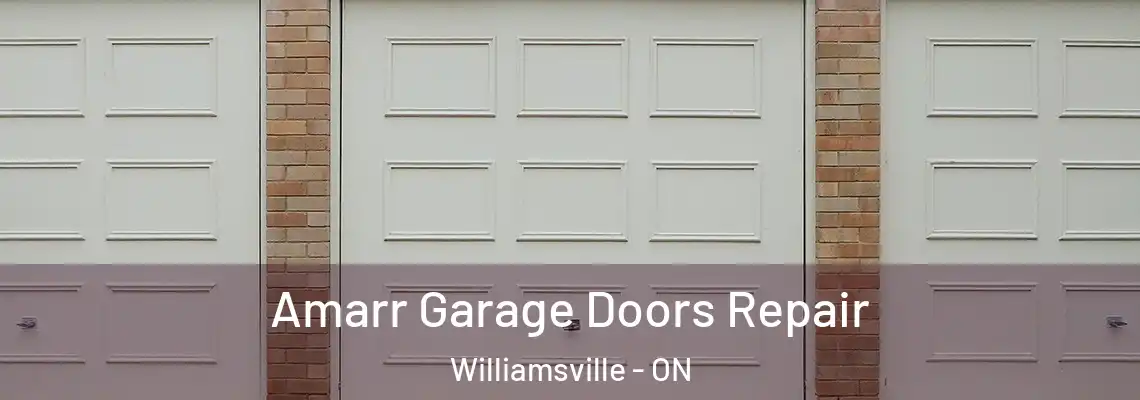 Amarr Garage Doors Repair Williamsville - ON