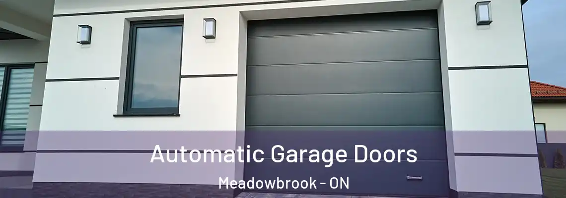  Automatic Garage Doors Meadowbrook - ON