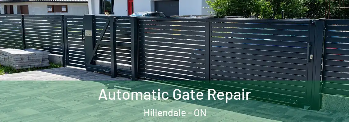 Automatic Gate Repair Hillendale - ON