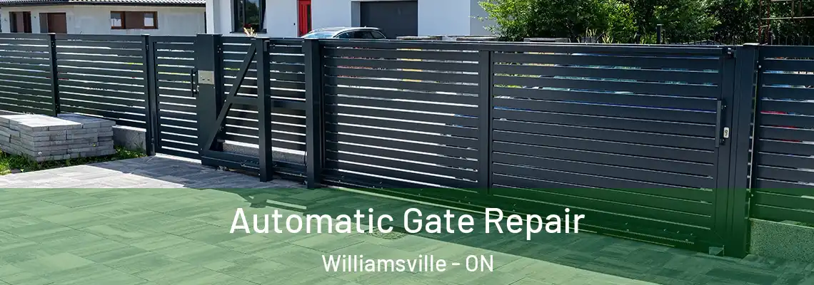  Automatic Gate Repair Williamsville - ON
