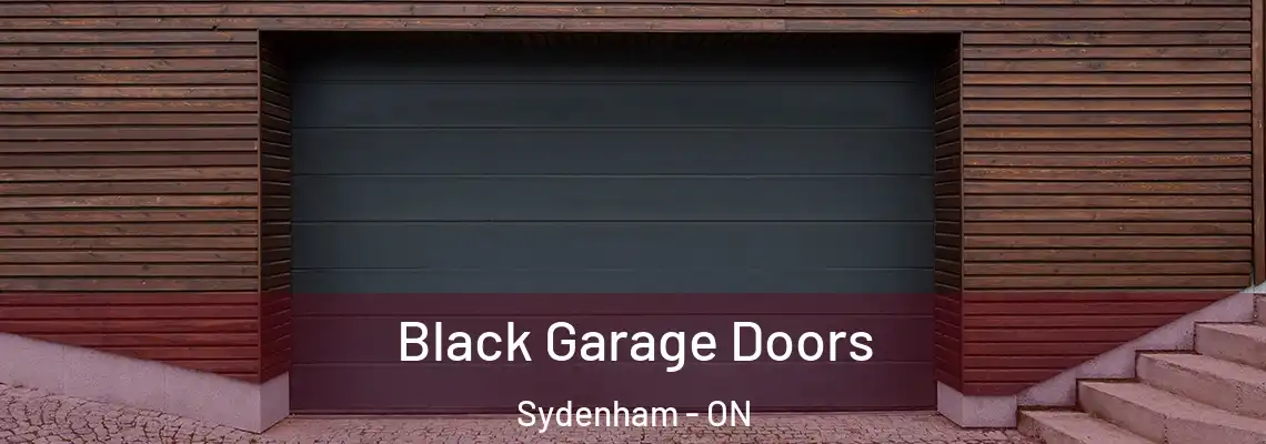 Black Garage Doors Sydenham - ON