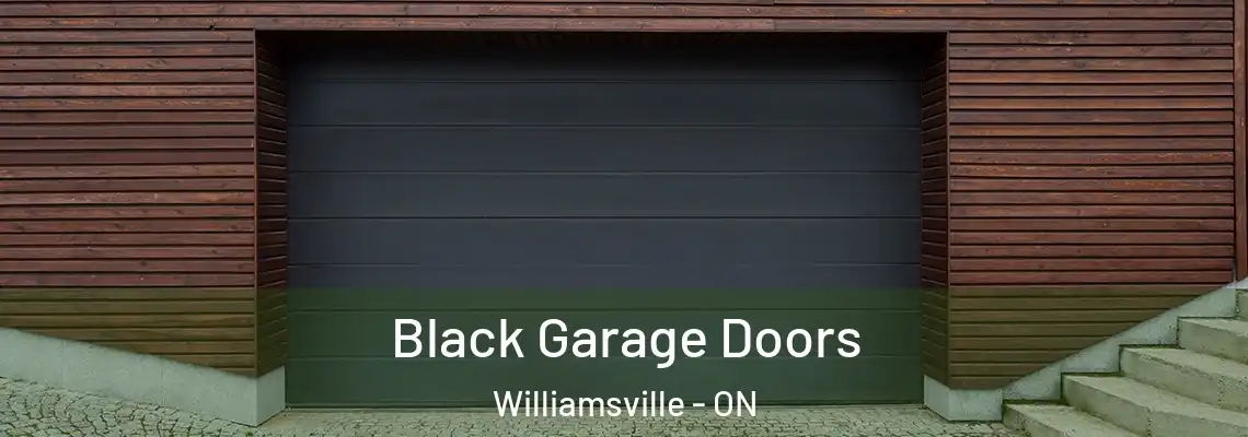  Black Garage Doors Williamsville - ON