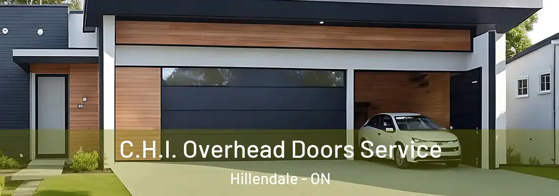  C.H.I. Overhead Doors Service Hillendale - ON