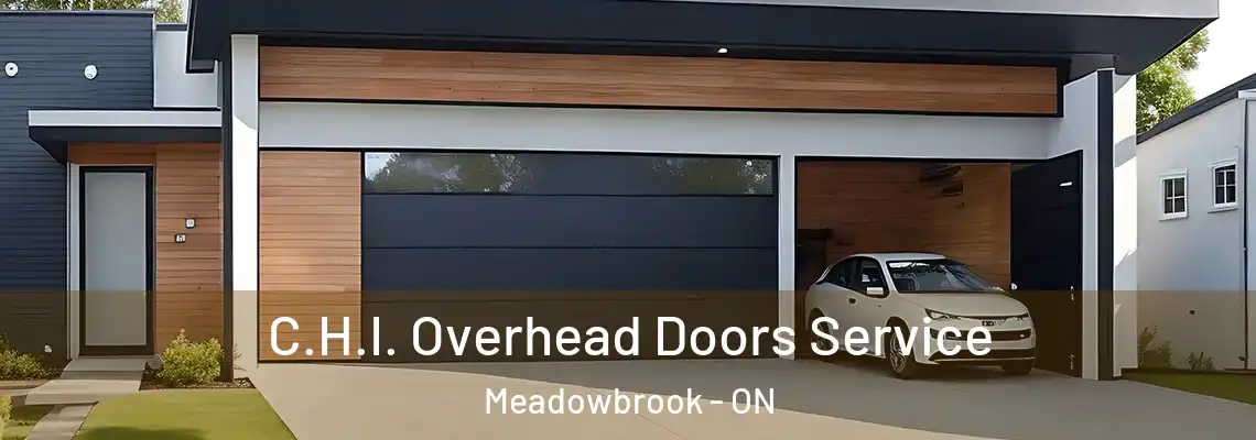 C.H.I. Overhead Doors Service Meadowbrook - ON