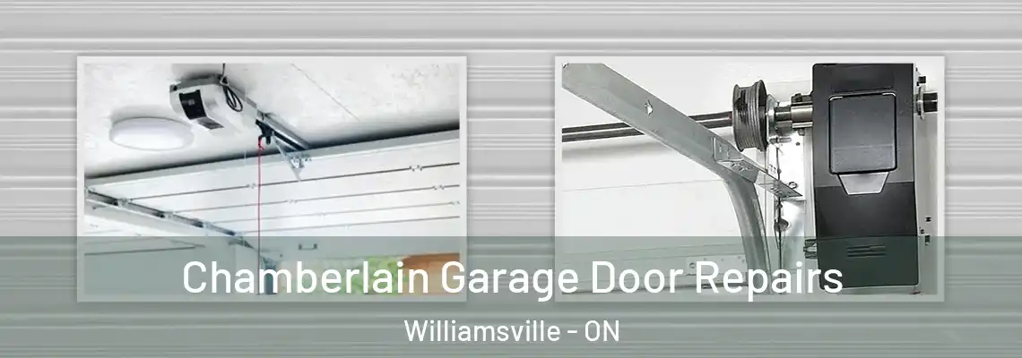  Chamberlain Garage Door Repairs Williamsville - ON
