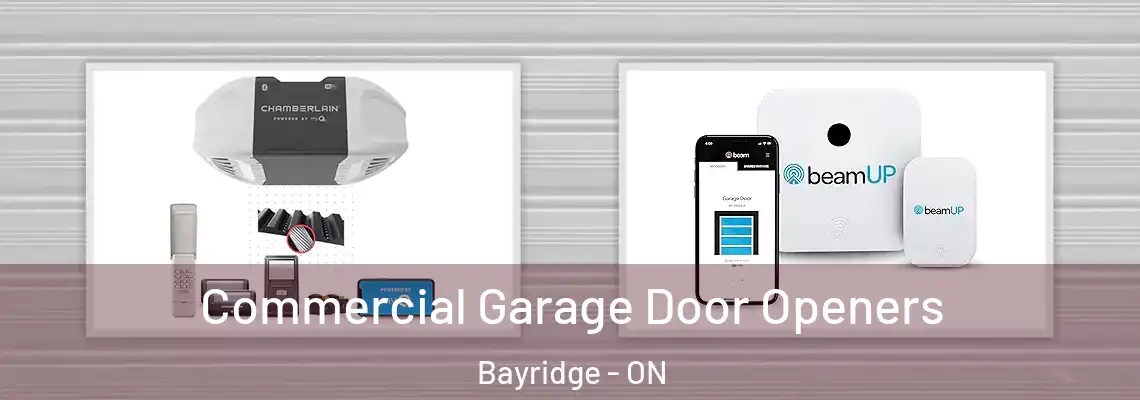  Commercial Garage Door Openers Bayridge - ON