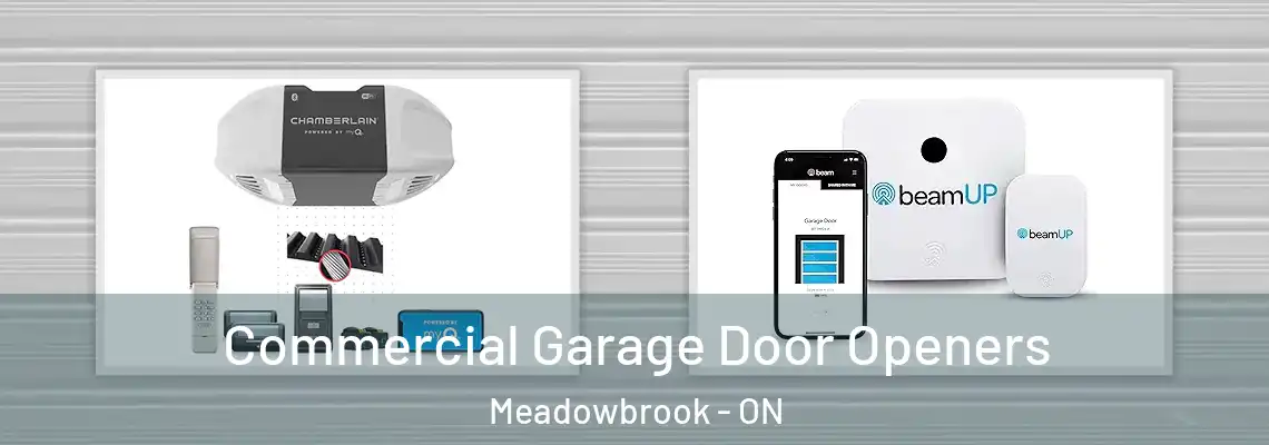 Commercial Garage Door Openers Meadowbrook - ON