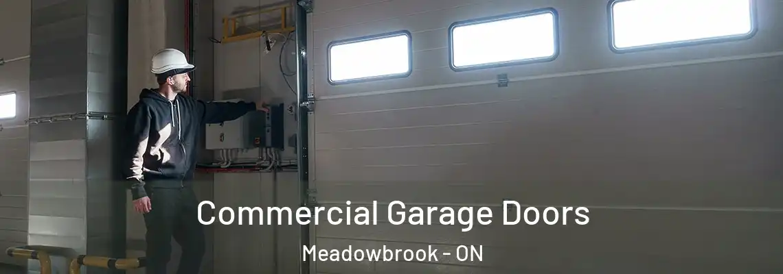 Commercial Garage Doors Meadowbrook - ON
