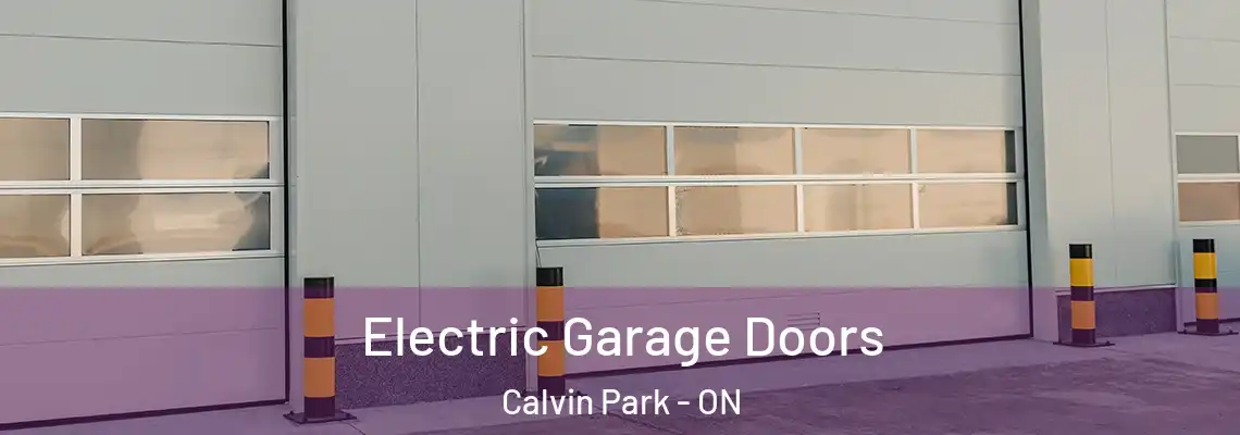  Electric Garage Doors Calvin Park - ON