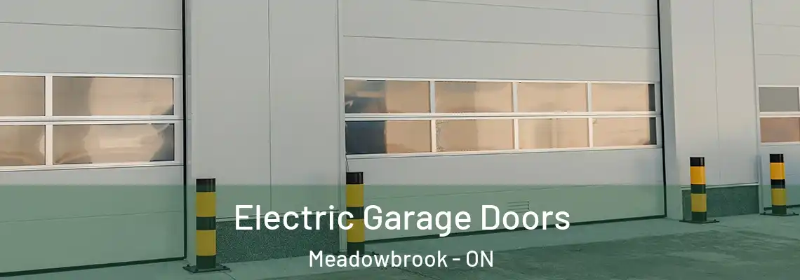 Electric Garage Doors Meadowbrook - ON