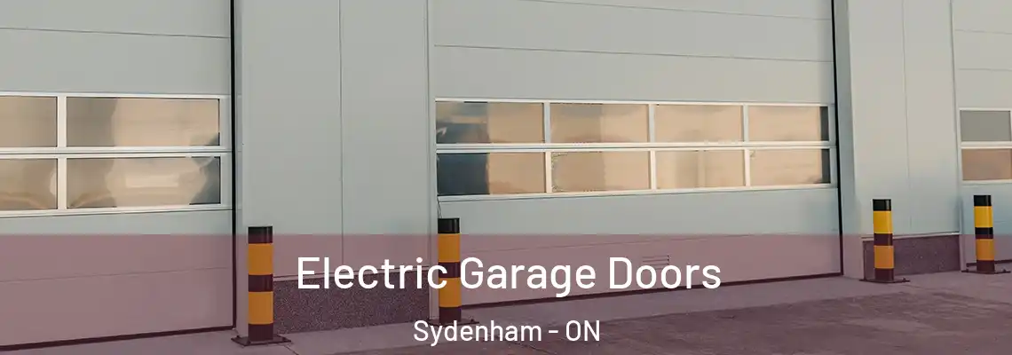 Electric Garage Doors Sydenham - ON