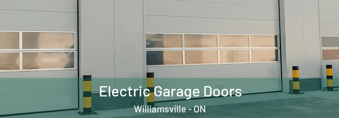  Electric Garage Doors Williamsville - ON