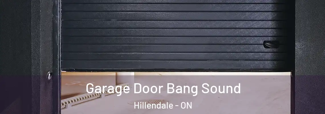 Garage Door Bang Sound Hillendale - ON