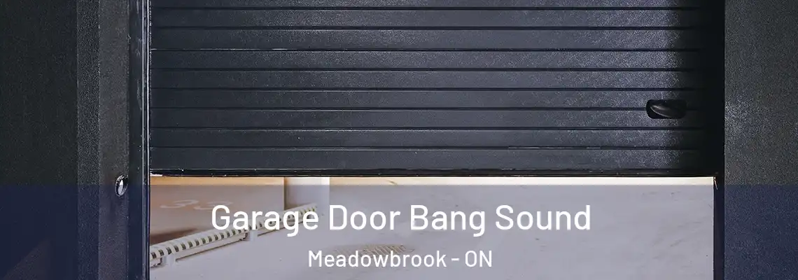 Garage Door Bang Sound Meadowbrook - ON