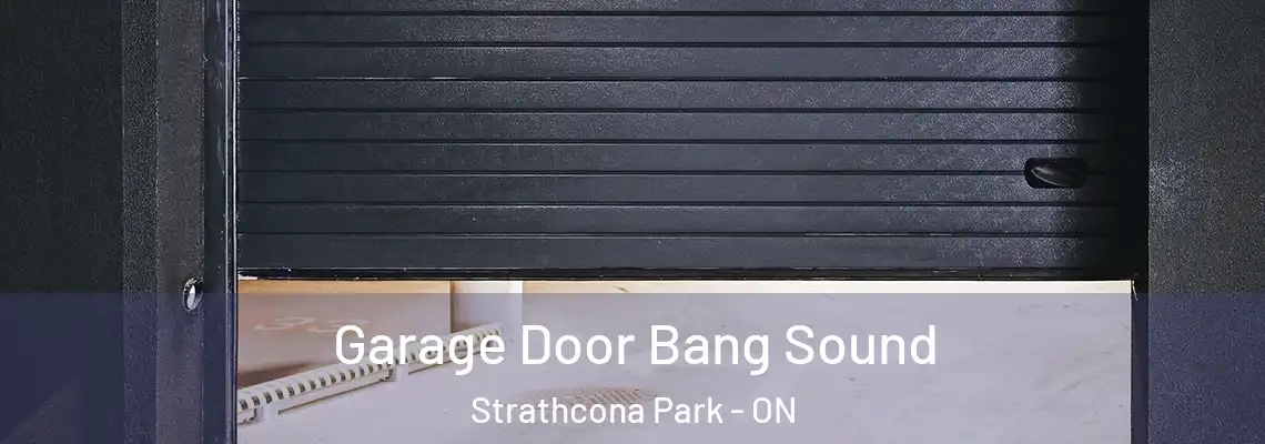 Garage Door Bang Sound Strathcona Park - ON