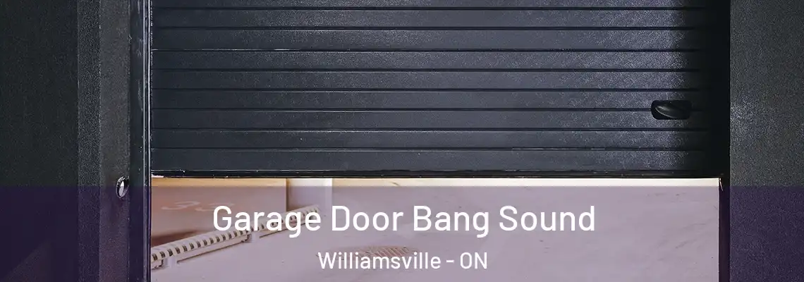 Garage Door Bang Sound Williamsville - ON