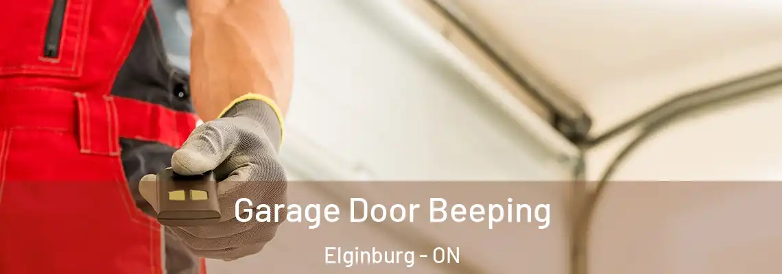 Garage Door Beeping Elginburg - ON