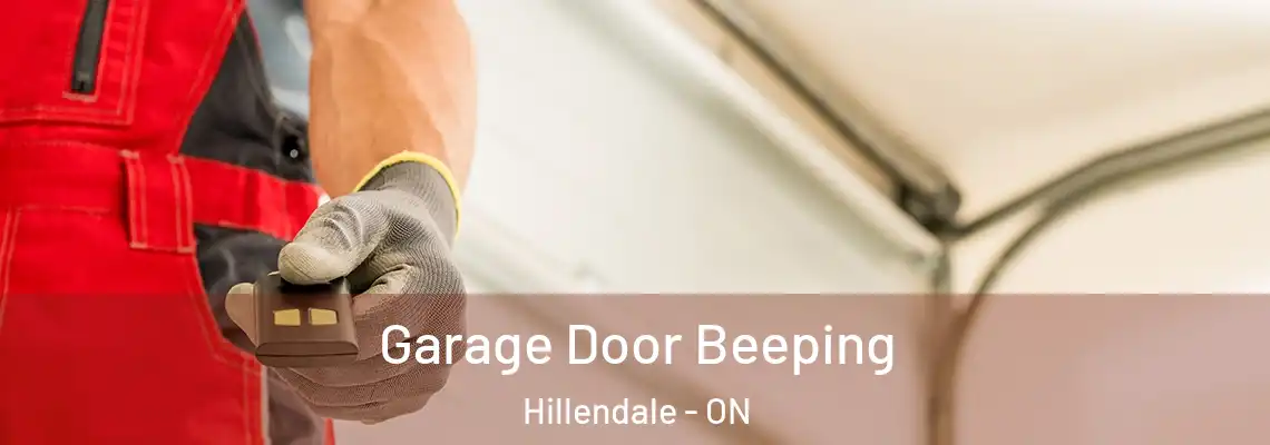 Garage Door Beeping Hillendale - ON