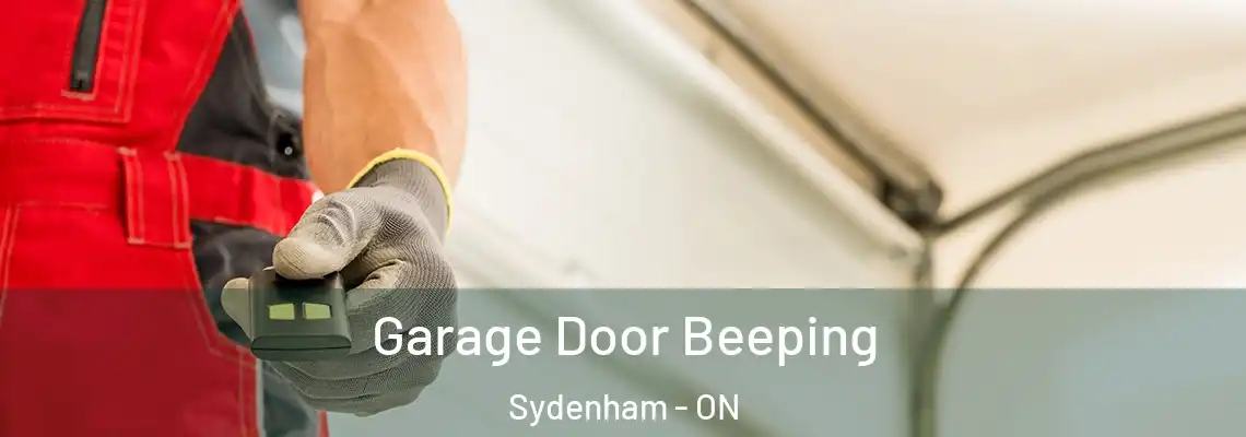 Garage Door Beeping Sydenham - ON