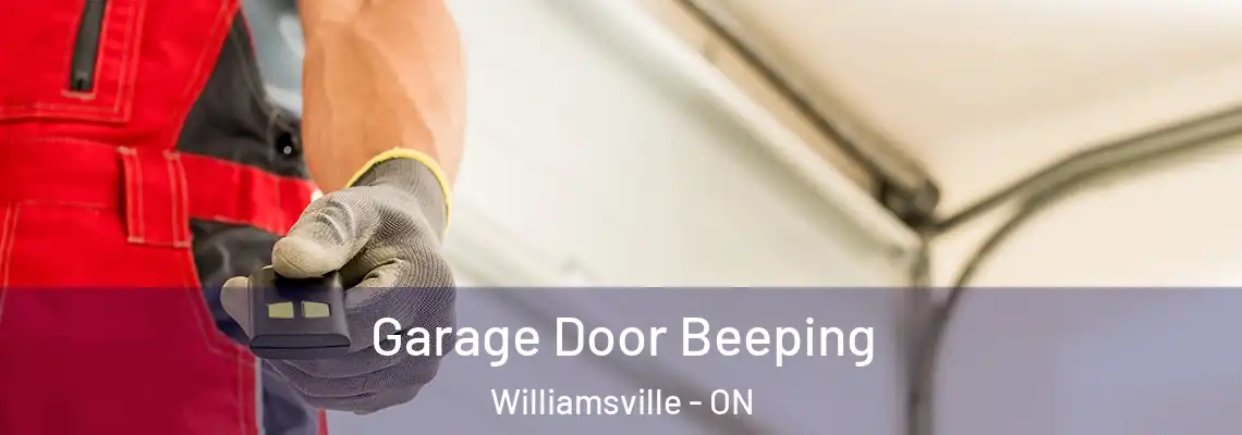 Garage Door Beeping Williamsville - ON