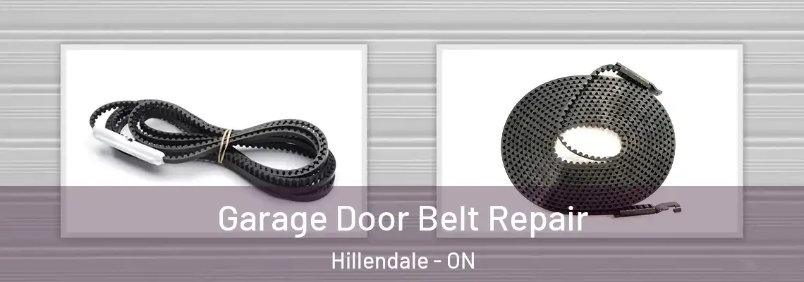 Garage Door Belt Repair Hillendale - ON