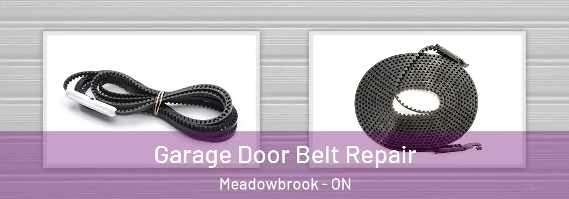 Garage Door Belt Repair Meadowbrook - ON