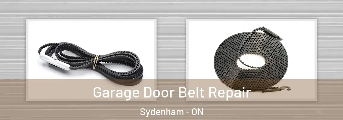 Garage Door Belt Repair Sydenham - ON