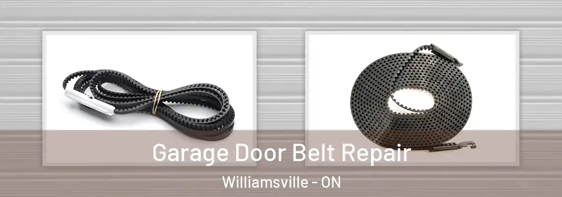  Garage Door Belt Repair Williamsville - ON