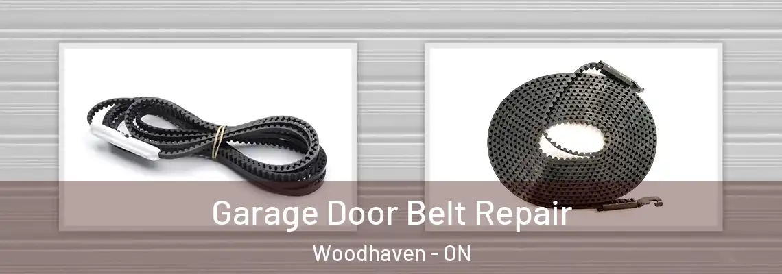  Garage Door Belt Repair Woodhaven - ON