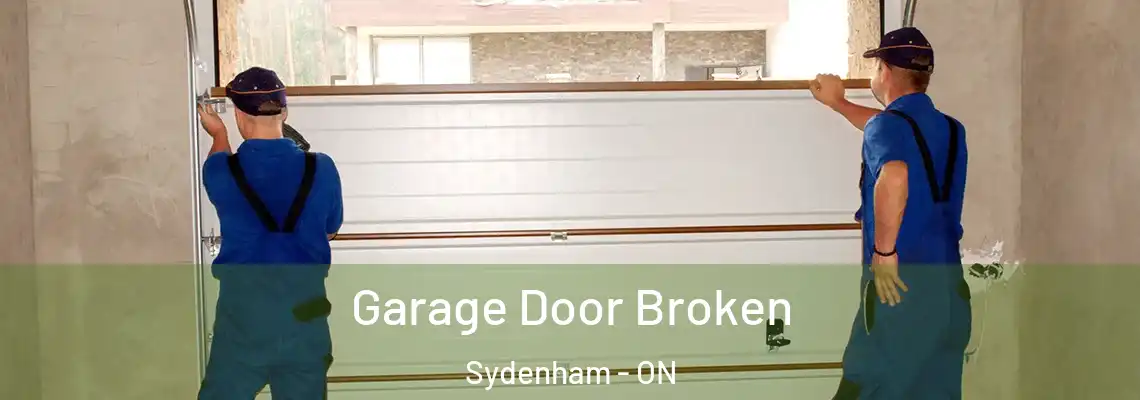  Garage Door Broken Sydenham - ON