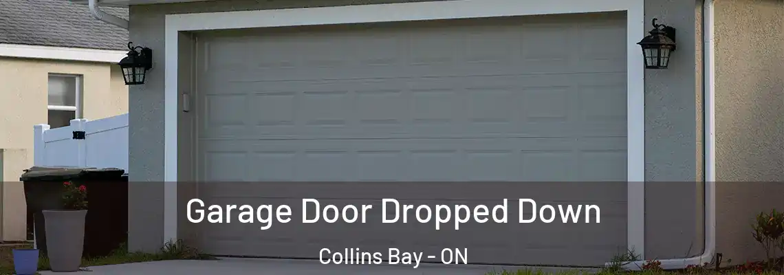 Garage Door Dropped Down Collins Bay - ON