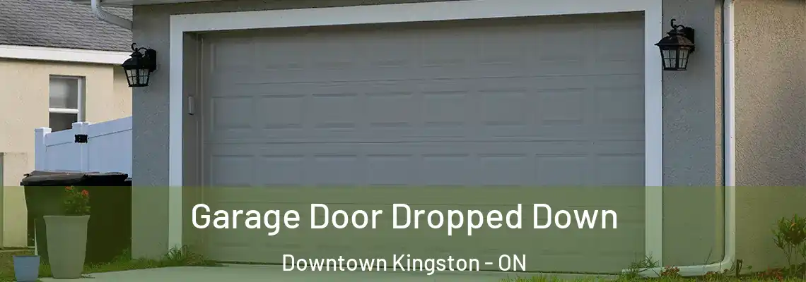 Garage Door Dropped Down Downtown Kingston - ON