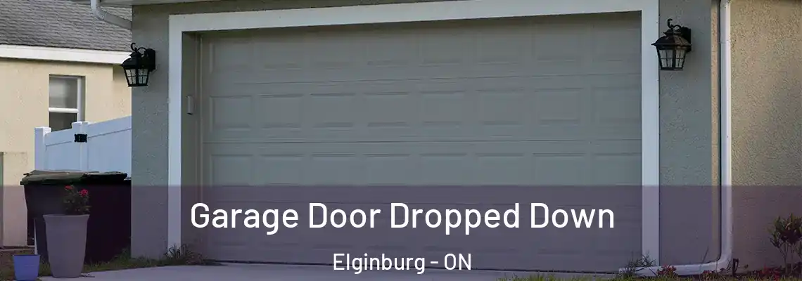 Garage Door Dropped Down Elginburg - ON