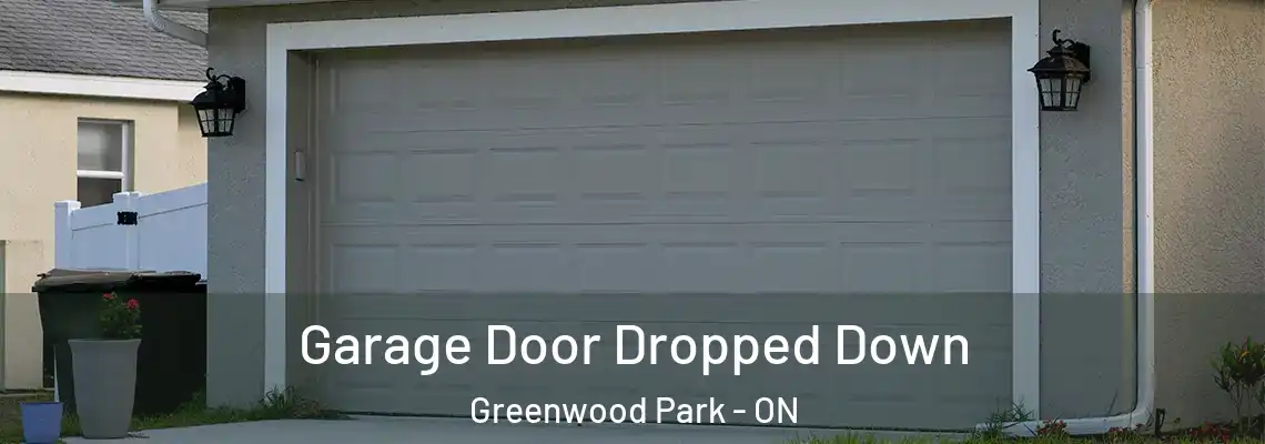 Garage Door Dropped Down Greenwood Park - ON