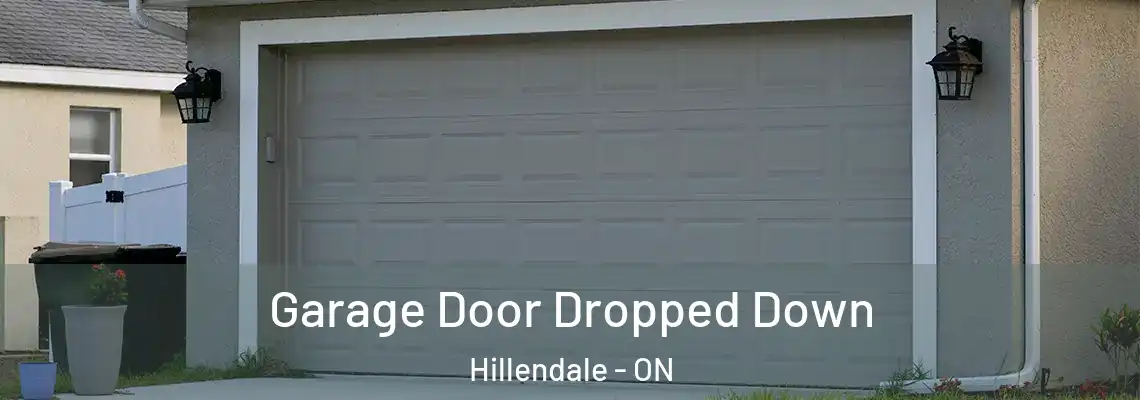 Garage Door Dropped Down Hillendale - ON