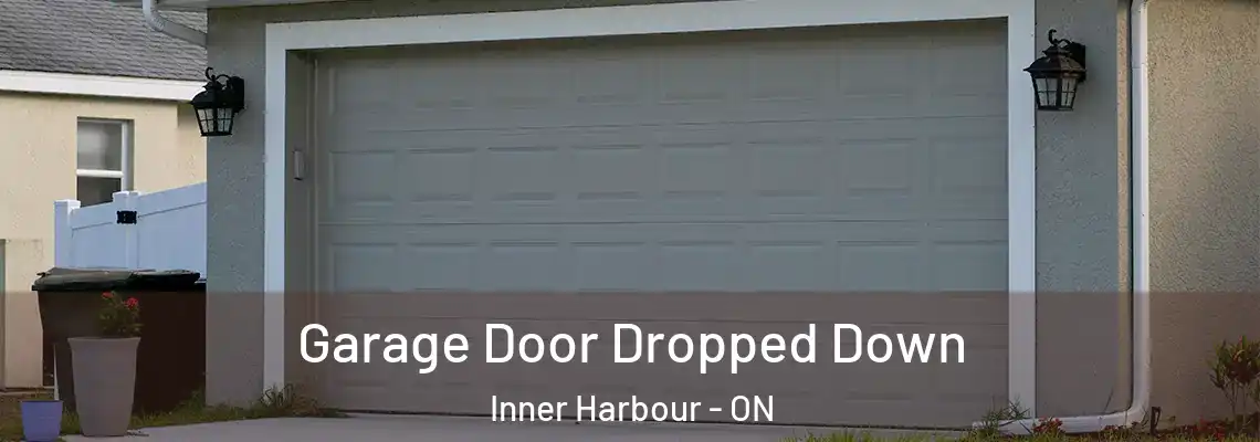 Garage Door Dropped Down Inner Harbour - ON