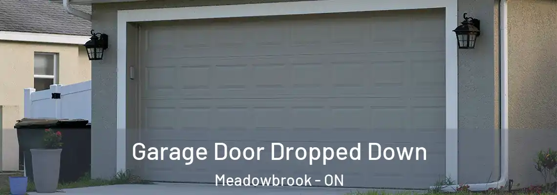 Garage Door Dropped Down Meadowbrook - ON