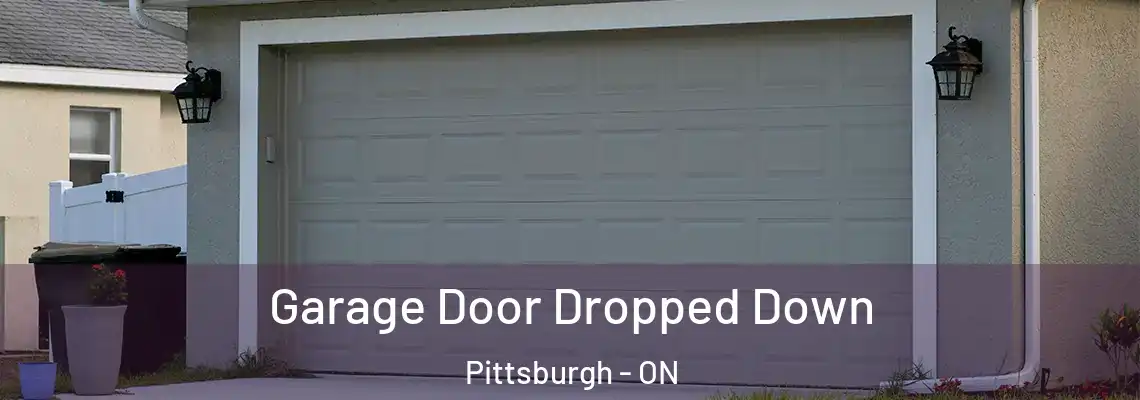 Garage Door Dropped Down Pittsburgh - ON