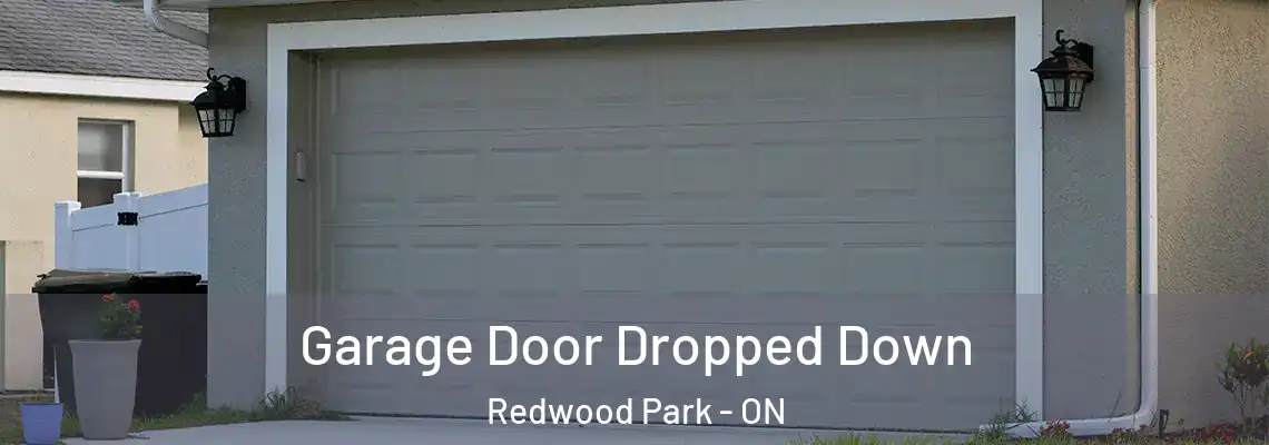 Garage Door Dropped Down Redwood Park - ON