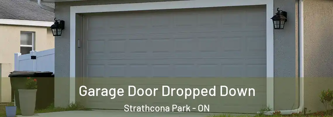 Garage Door Dropped Down Strathcona Park - ON
