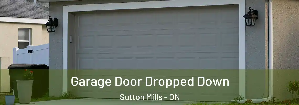 Garage Door Dropped Down Sutton Mills - ON